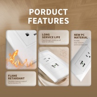 Prise standard sud-américaine de type US à 3 pôles avec double ports d'alimentation de charge USB Type-A Prises Panneau PC ignifuge