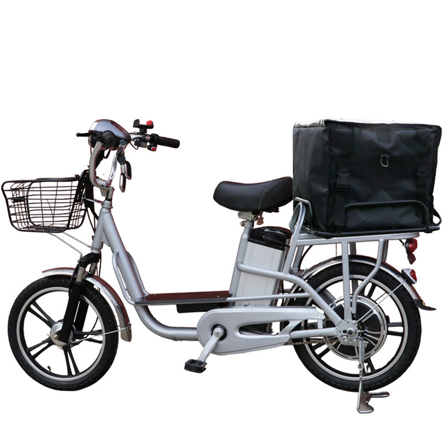 Paige Electric Bike 48v350w 18inch Vintage Motorcycle with Pedal Assit Moto Electrica for Adult Women City Wholesale Ebike