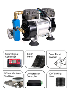 Pompa Oksigen Tenaga Surya HCEM DC24V 150W Tanpa Oli 2 Bar Sistem Aerasi Berpendingin Udara Portabel untuk Kolam Ikan & Pertanian - Product Image 4