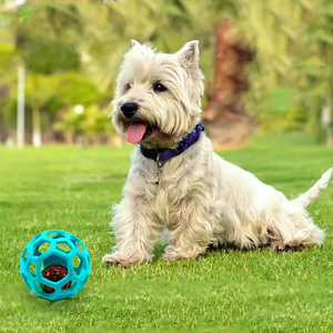 All'ingrosso di qualità calda di piccole e medie dimensioni giocattoli per cani stuzzicare Pet cavo palla da fiuto materiale TPR allevia la noia forniture per animali domestici - Product Image 3
