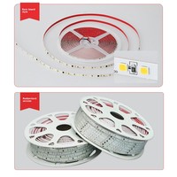 Bande lumineuse LED 220V haute luminosité, étanche, flexible, IP65, intelligente, lumineuse, découpable, pour extérieur