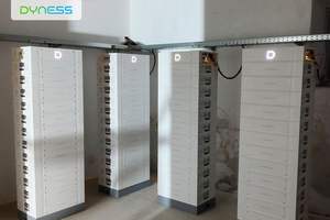 Batteria Dyness ad Alta Tensione LifeFo4 per Uso Domestico 60kwh 90kwh 100kwh 100ah Batteria al Litio Lifepo4 con Inverter per Sistema Solare - Product Image 3