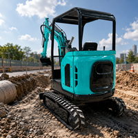 Envío Gratuito, Mini Excavadora de 2.5 Toneladas con Certificación CE EPA, Excavadora Pequeña Hidráulica Diesel con Orugas para Jardín, Granja y Construcción