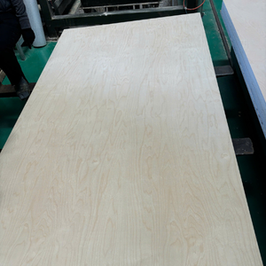 High Quality DD Grade Poplar Rubber Acacia Plywood Waterproof Eco-Friendly Fire Retardant Minimalist Apartment Interior Walls - Product Image 4