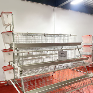 Sistema de Jaulas para Gallinas Ponedoras de Bajo <span class=keywords><strong>Precio</strong></span> con 3-4 Niveles y Capacidad para 96-160 Aves para Granja de Cría - Product Image 1