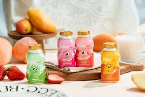 Bevande al Lattobacillo al Gusto Pesca Viloe Ricche di Probiotici Protettivi per l'Intestino Contengono Acqua Latte Zucchero in Bottiglie Bevande Analcoliche - Product Image 5