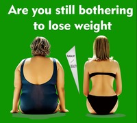 Thé minceur aux feuilles de Moringa pour nettoyer le côlon, détoxifier, aplatir le ventre et soulager la constipation