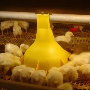 Alimentador de pollos de 18 rejillas de alta calidad, último tipo sin Material de desecho, condición nueva - Product Image 1