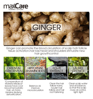 Maxcare ekstrak Herbal kualitas tinggi tonik rambut aman non-iritasi merangsang pertumbuhan kembali rambut dan Label pribadi anti-ketombe