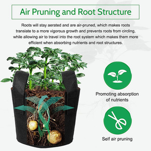Chine prix usine fraise pomme <span class=keywords><strong>de</strong></span> terre mycologie fruit plante hydroponique serre grande taille tissu <span class=keywords><strong>sac</strong></span> <span class=keywords><strong>de</strong></span> culture 20 30 50 gallons - Product Image 4
