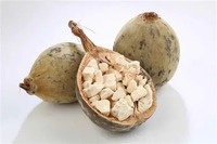 Poudre d'extrait de Baobab 100% naturelle, complément alimentaire super-riche en vitamine C