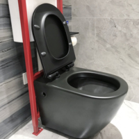 WC suspendu de haute qualité avec réservoir dissimulé à économie d'eau, cadre dissimulé, réservoir de toilette mural durable pour salle de bain
