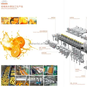 Turnkey Industrial Orange Lemon Tanjalo Tangerine Fruit Juice Puree Making Machines Processing Line