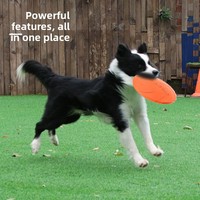 Unzerstörbare Gummi-Hundefrisbee Schwimmende Flugscheibe Interaktives Trainings-Kauspielzeug für Hunde Outdoor-Haustierzubehör Großhandel