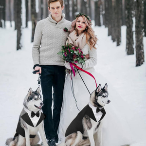 बड़े मध्यम कुत्ते गोल्डन रिट्रीवर सामो बुलडॉग पालतू जानवर कुत्ते टुक्सेडो शादी पार्टी औपचारिक कुत्ते राजकुमार धनुष - Product Image 3