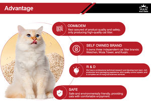 Milieuvriendelijke Tofu Kattenbakvulling Sterk Klonterend Geurslot Gemakkelijk Schoon Te Maken Soja Maïs Zeoliet Zandvezel Zetmeel Actieve Kool - Product Image 4