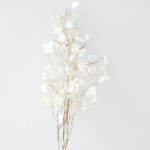 Lussuoso Bouquet di Fogliame Essiccato e Conservato, Lunaria Annua per Decorazioni Domestiche - Product Image 6