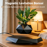 Pot de plante en ABS à lévitation magnétique, pot flottant rotatif, design minimaliste, cadeau créatif unique, décoration d'intérieur pour bonsaï