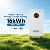 Batterie Lifepo4 16kwh 15kwh avec protection IP65, 51.2V 314AH, BMS intelligent, compatible avec les onduleurs courants