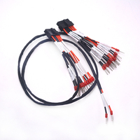 Arnés de Cableado Automotriz con Núcleo de Cobre Personalizado, Cable de Nylon/PVC/PTFE Multi-AWG para Sistemas de Control Electrónico de Vehículos