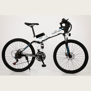 Fabricant chinois meilleure qualité vélo électrique prix bon marché approvisionnement singapour Europe Népal prix VTT E vélo 1000w pour adulte - Product Image 3