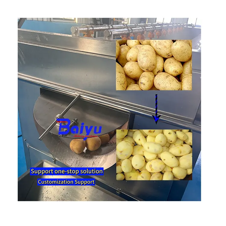 Baiyu آلة تجارية قابلة للتخصيص 200 كجم لغسل وتقشير البطاطس مصنع معالجة الخضروات مقشرة البطاطس الحلوة للبيع