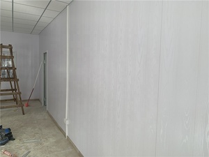 Nhanh Chóng Và Dễ Dàng Lắp Ráp Ánh Sáng Thép Sang Trọng Đúc Sẵn Bằng Gỗ Hạt Nhà Nhà Cho Các Trường Học Carports Hội Thảo Trang Trại - Product Image 3