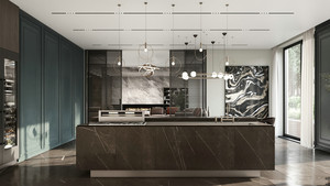 Tủ Bếp Nội Thất Nhà Bếp Cho Căn Hộ Thiết Kế Đơn Giản Bằng Thép Không Gỉ Bộ Tranh Sơn Mài Hiện Đại 15 Năm - Product Image 3