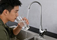 Robinet de cuisine monocommande eau chaude/froide de qualité commerciale avec cartouche céramique, finition chrome poli, bec haut