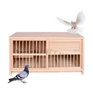 2024 Nieuwe Alle Seizoenen Commerciële Duif Accessoires Houten Vogels Huis Duif Kooi Fokken Modulaire Duiven Kooi - Product Image 6