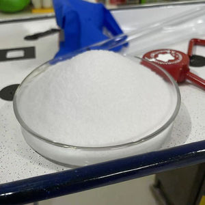 Polímero Catiónico de Poliacrilamida en Polvo para Tratamiento de Agua, 99.9% de Pureza, CAS 9003-05-8 - Product Image 1