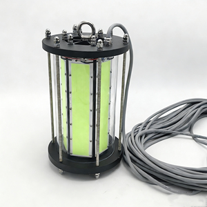 Lumière verte pour la pêche sous-marine, projecteur portable haute puissance de 4000 watts, équipement de pêche pour cage à homard - Product Image 1