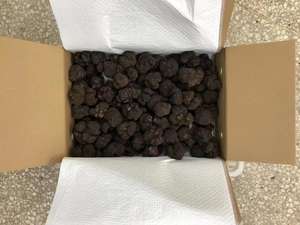 Huile de truffe noire Sumerians de haute qualité prix de gros - Product Image 4