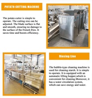 Ligne de production automatique de frites congelées et de frites de légumes en acier inoxydable SUS304, prix usine DY, 200-600 kg/h