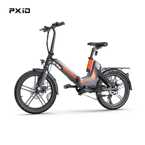 Vélo électrique pliable de 20 pouces, P4, vélo à longue portée en alliage de magnésium, 36V, 250W
