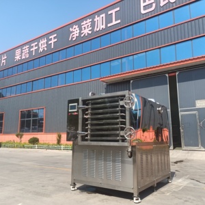 Công nghiệp 50kg 100kg lyophilizer chân không đóng băng máy sấy tự động công nghiệp sấy dehydrator chế biến thực phẩm Kẹo Trái Cây cần tây - Product Image 4