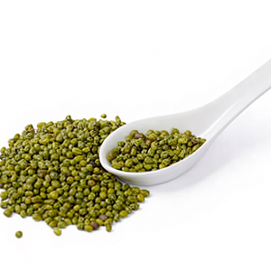Haricots verts indiens frais, nouvelle saison, sélection premium, légumineuses entières naturelles, marque FitTree International, origine Gujarat, 24 - Product Image 1