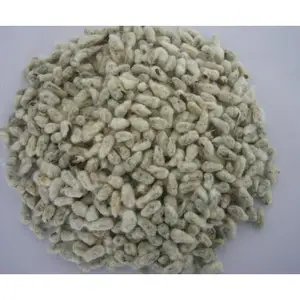 Matured Dried Cotton Seeds For Cattle Feed A Grade Dried Cotton Seed For Cattle Feed Bulk Product