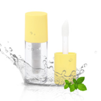 Vente chaude Bouteilles En Or Plumper Vide Lipgloss Logo Personnalisé Brillant À Lèvres Tubes En Argent Marque Privée Brillant À Lèvres Plumper À Lèvres