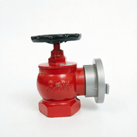 Hydrant d'incendie intérieur SNW65-I de fournisseur chinois – Équipement de lutte contre l'incendie de haute qualité à prix compétitif