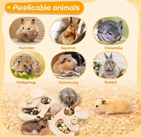 Mangeoire à lapin en bois renforcée personnalisée, mangeoire multifonctionnelle, mangeoire en bois pour hamster