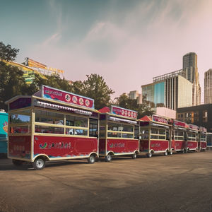 Startup <span class=keywords><strong>Food</strong></span> <span class=keywords><strong>Truck</strong></span> Business-Rentable Listo para operar-Solución llave en mano para grandes ganancias-Logotipo personalizado - Product Image 5