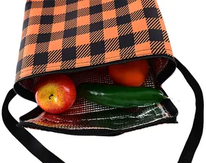 2023 Custom Logo Non-Woven Cooler Tote Bag OEM Insulated Aluminium Foil Pp Nonwoven Lunch Car Picnic Cooler Bags