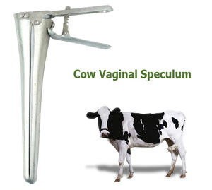 Abridor animal Equipamento médico veterinário Sheep <span class=keywords><strong>Cattle</strong></span> Speculum em instrumentos cirúrgicos para instrumentos veterinários - Product Image 4