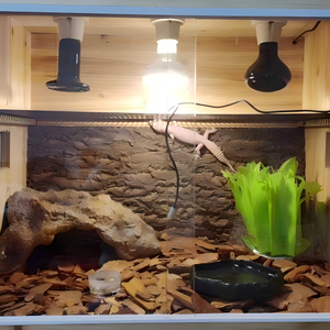 לוח גב מלבני בסגנון קלאסי ידידותי לסביבה, עשוי קליפת עץ טבעית, לקישוט נוף, קיר צמחים ירוק - Product Image 6