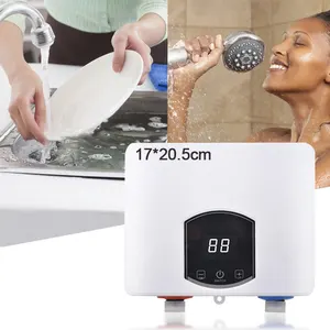 220v Portable Small Electric Water Heater Without Tank Instant water heater for shower