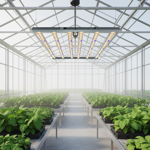 Luces LED de Cultivo Samsung Evo Lm301h Lm281b Lm283b Eco, Verificadas por Shenzhen, Pequeñas, Color Blanco Menta - Product Image 1