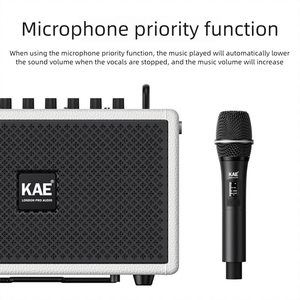 Di Động 220W Kép OTG Chuyên Nghiệp Loa Đồng Trục Hoạt Động Đầy Đủ Phạm Vi Sân Khấu Loa Với <span class=keywords><strong>2025</strong></span> Hệ Thống Ngoài Trời - Product Image 6