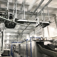 Usine d'Abattage de Porcs Standard avec Équipements de Traitement de Viande de Porc
