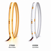 Bande LED flexible 24V double blanc CCT réglable 608 LED/m 10mm pour éclairage décoratif commercial et résidentiel